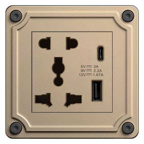 D8 2 PIN ,3 PIN UNIVERSAL SOCKET WITH DUAL USB