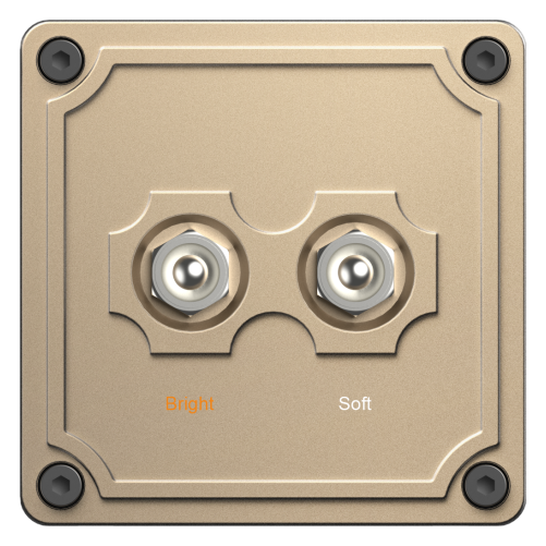 A2 D8 – 2 Gang Switch