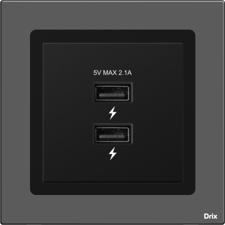 Dual USB Socket